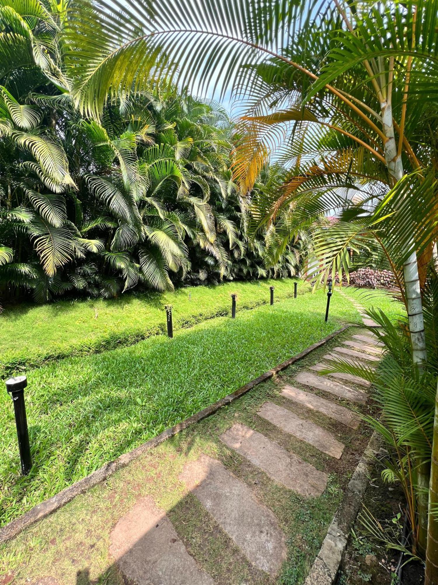 Coorg Nesara Hotel And Resort Kushālnagar Екстериор снимка